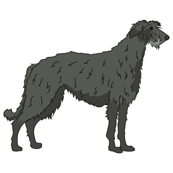 Signmission Scottish Deerhound Dog Decal, Dog Lover Decor Vinyl Sticker D-12-Scottish Deerhound - main